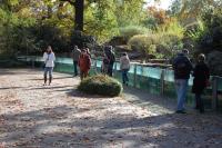 Imagine atasata: Zoo Berlin 0369.JPG
